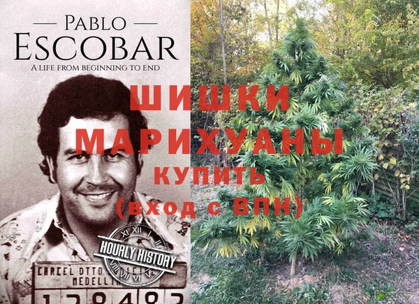 не бодяженный Ладушкин