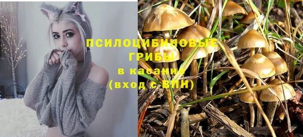 дмт Лиски