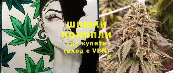 дмт Лиски