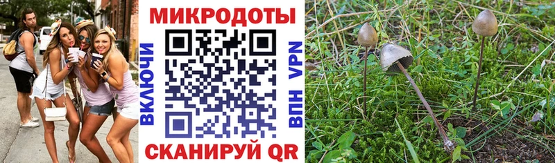 Псилоцибиновые грибы Magic Shrooms  ссылка на мегу ТОР  Новая Усмань 